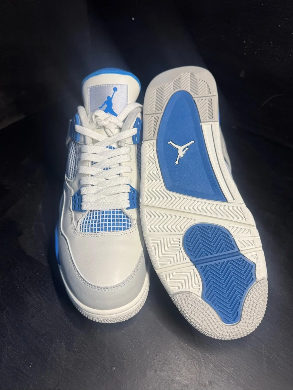 Jordan classic silhouette